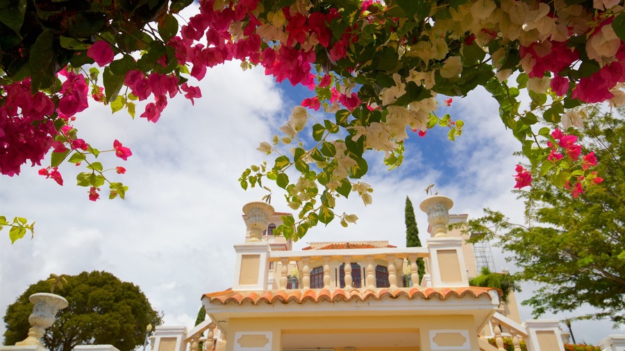 Museum Castillo Serralles