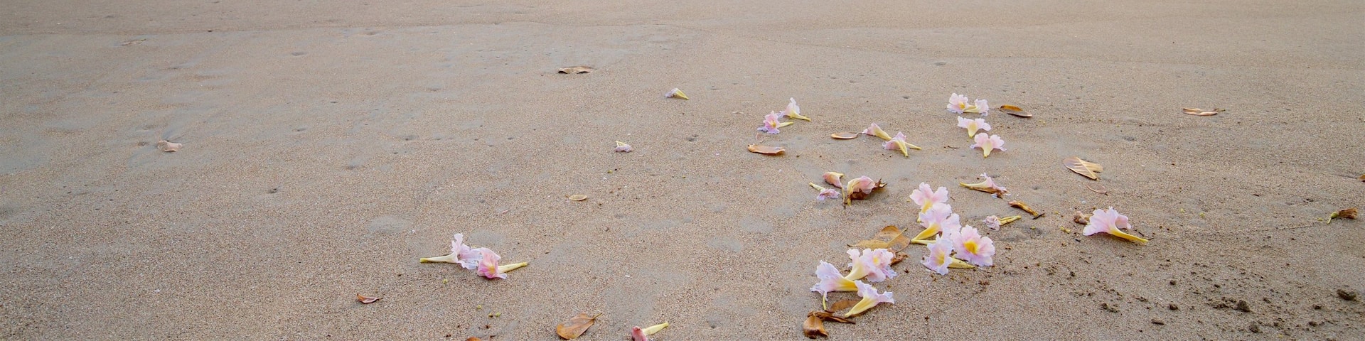 Choc Beach