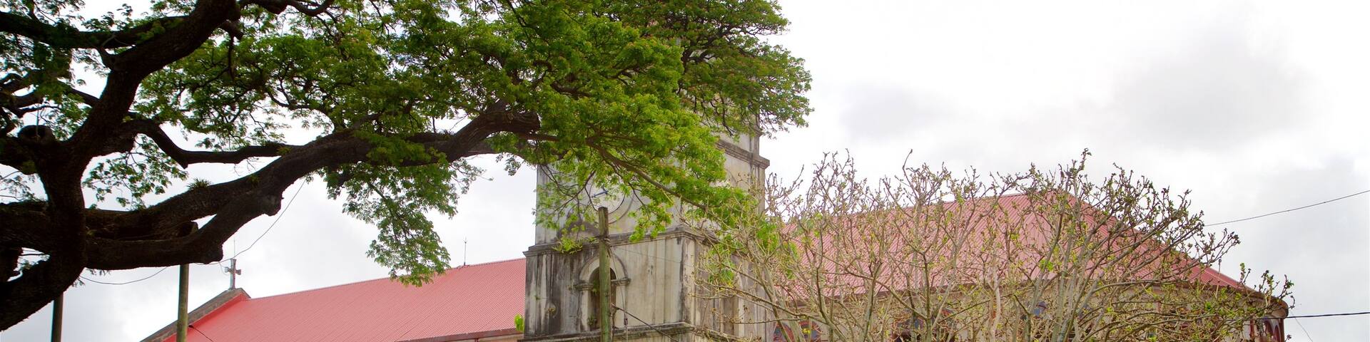 Immaculate Conception Church