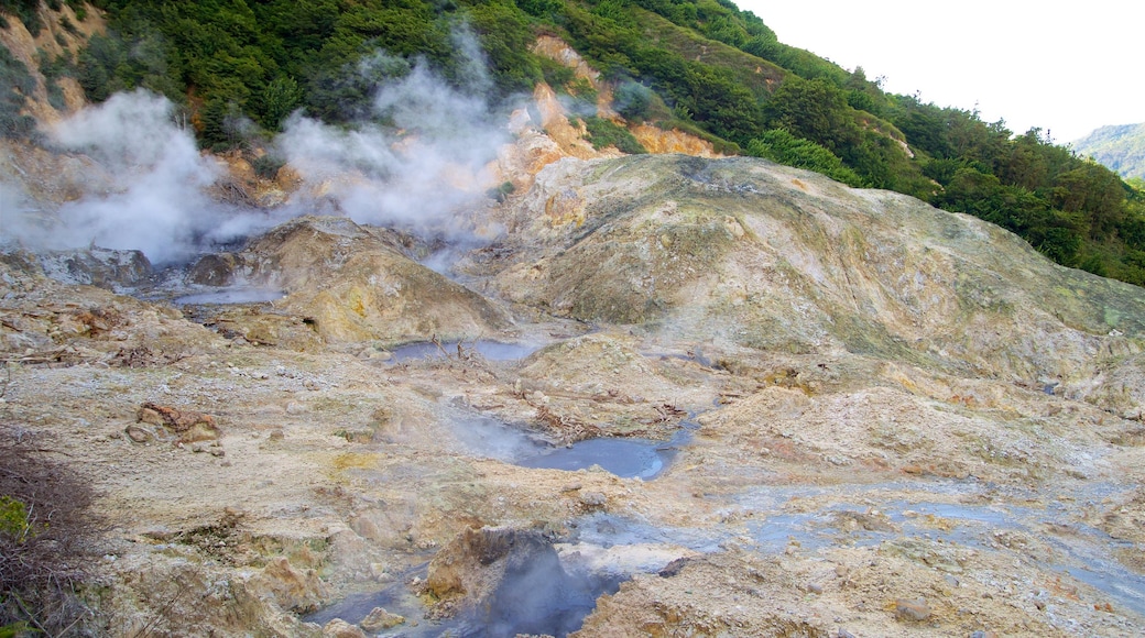 น้ำพุร้อน Sulphur Springs