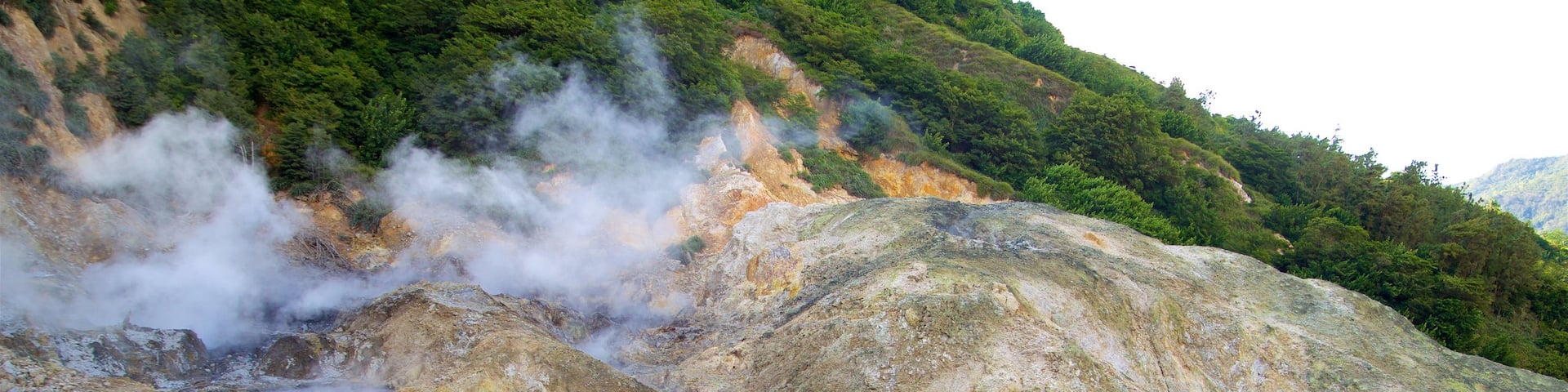 Sulphur Springs
