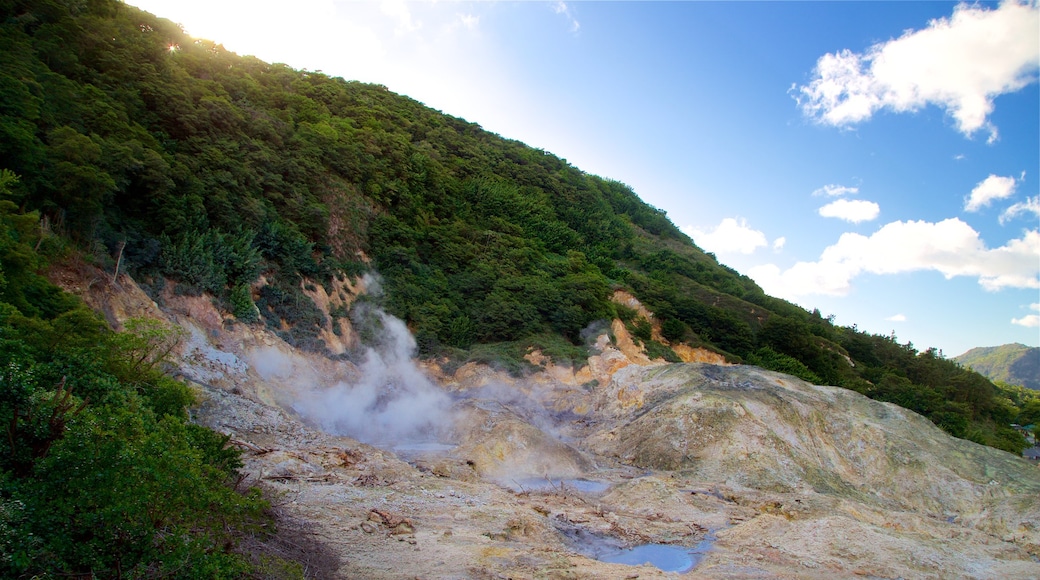 น้ำพุร้อน Sulphur Springs