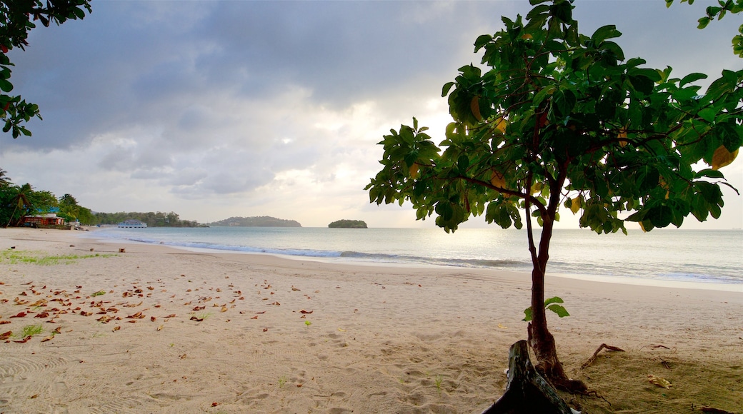 Plage Choc Beach