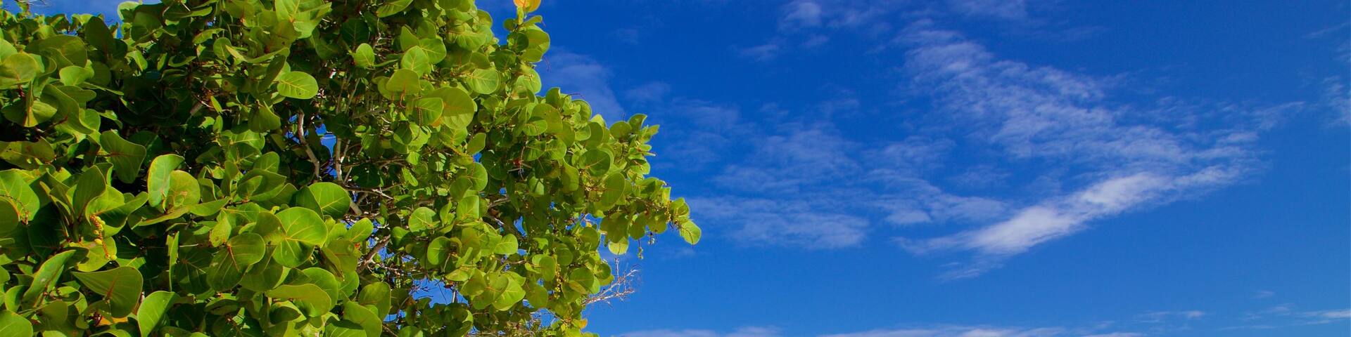 Blue Beach