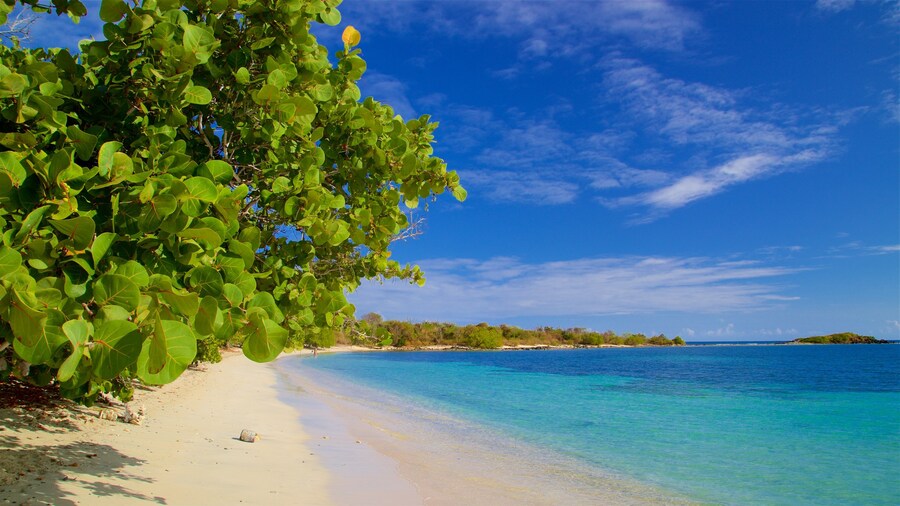 Blue Beach