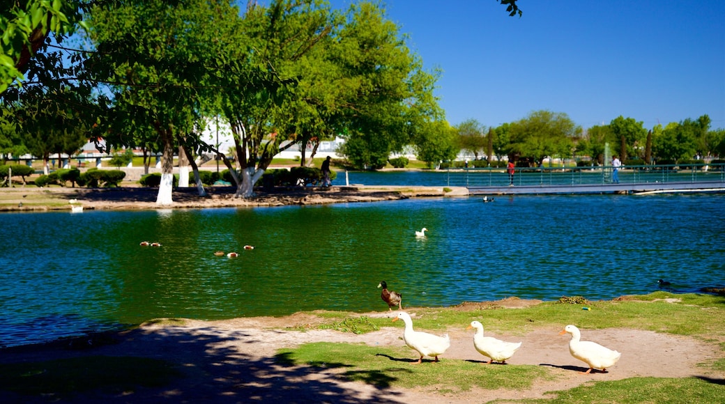 Central Park