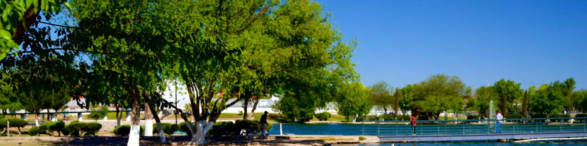 Central Park