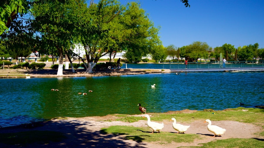 Parque Central