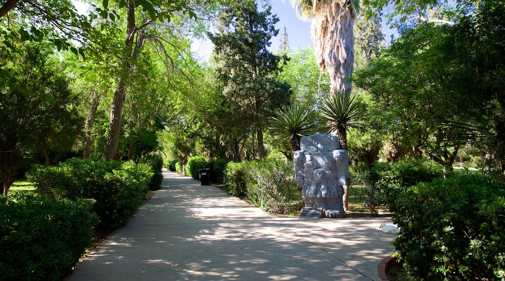 Museo de Arqueología El Chamizal