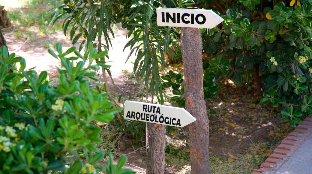 Museo de Arqueología El Chamizal