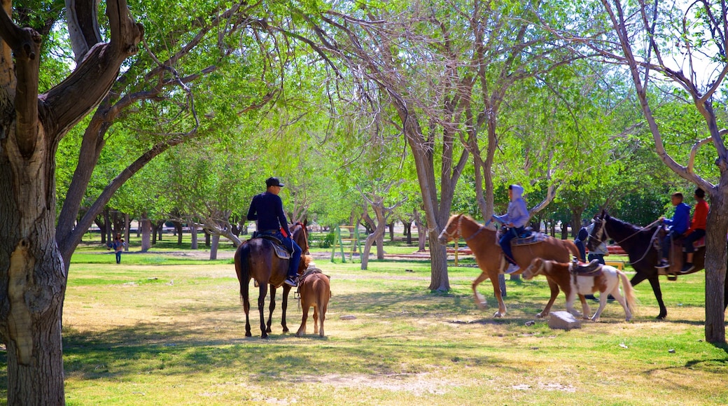 Parque Público Federal El Chamizal