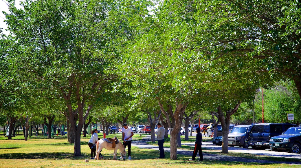 Parque Público Federal El Chamizal