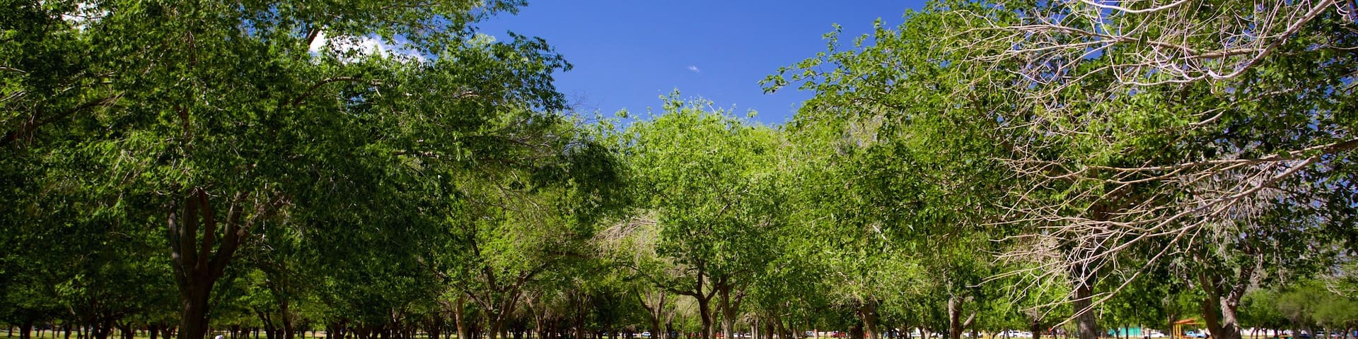 Chamizal Federal Public Park