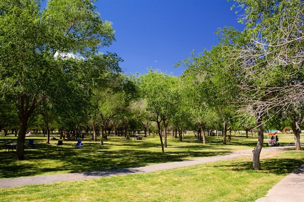 Parque Público Federal El Chamizal
