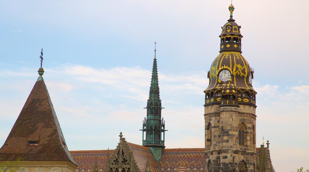 St. Elisabeth Cathedral