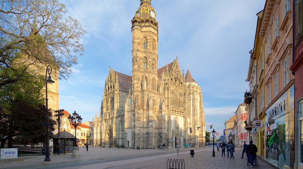 St. Elisabeth Cathedral