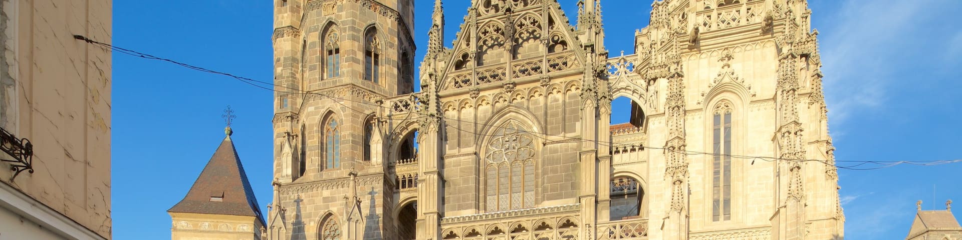 St. Elisabeth Cathedral