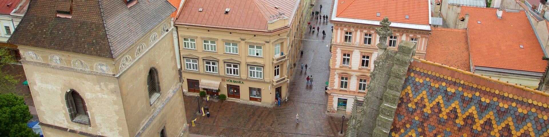 St. Elisabeth Cathedral