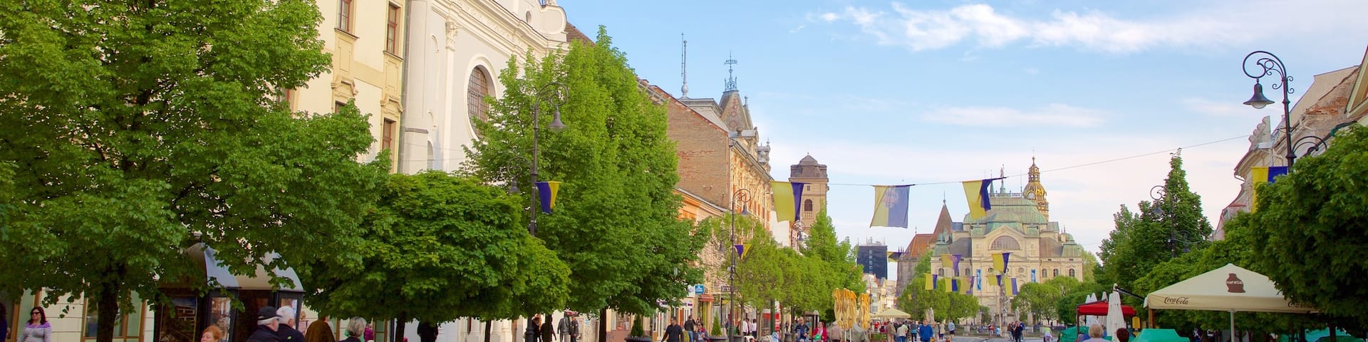Hlavna Ulica