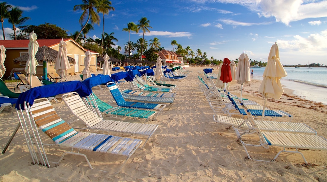 Dickenson Bay Beach featuring a sandy beach, tropical scenes and general coastal views