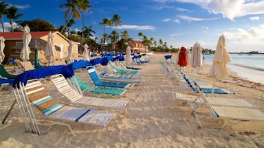 Dickenson Bay Beach showing tropical scenes, general coastal views and a sandy beach