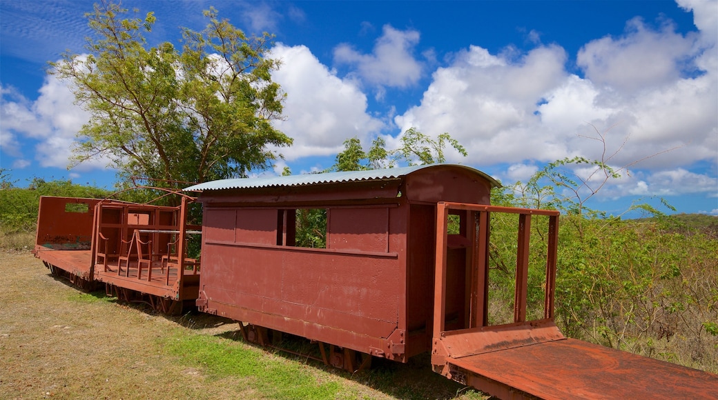 Betty\'s Hope Sugar Plantation showing heritage elements and a park