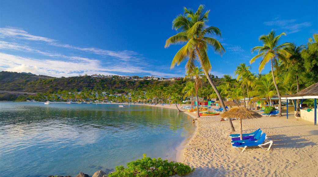 Mamora Bay mostrando cenas tropicais, uma praia de areia e paisagens litorâneas
