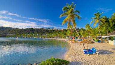 Mamora Bay showing a sandy beach, tropical scenes and general coastal views