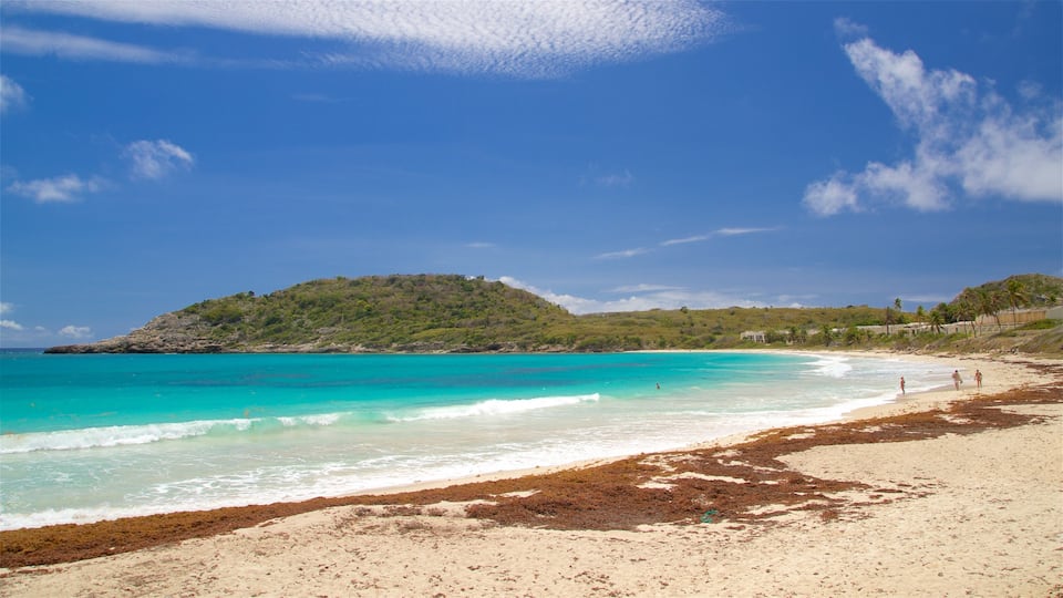 Half Moon Bay Beach which includes a sandy beach and general coastal views