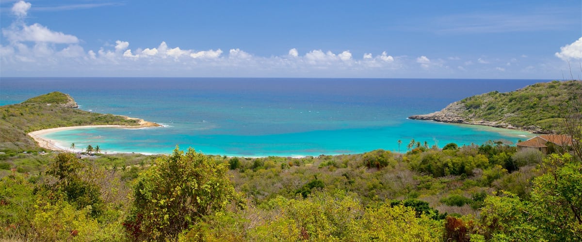 Half Moon Bay Beach mettant en vedette vues littorales, panoramas et plage
