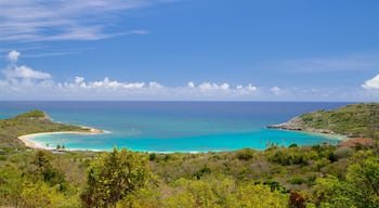 Half Moon Bay Beach which includes general coastal views, landscape views and a sandy beach