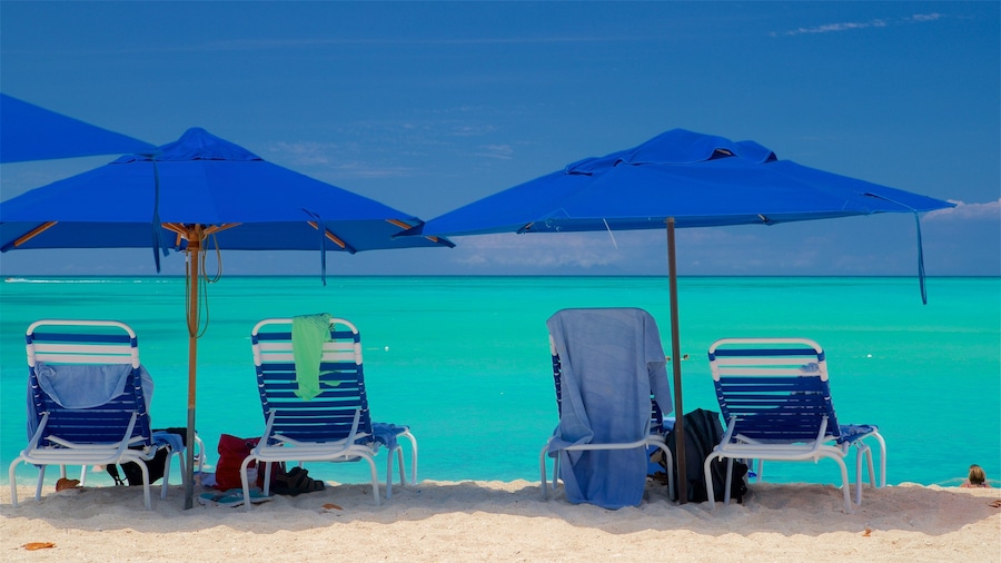 Valley Church Beach showing a beach, general coastal views and tropical scenes
