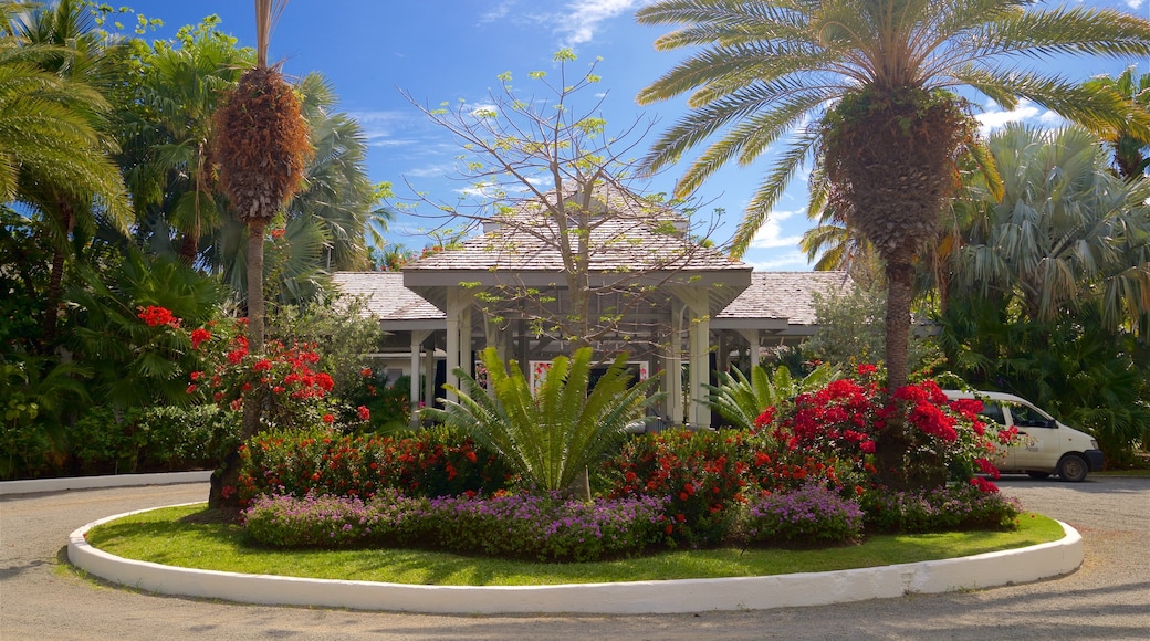 Carlisle Beach caratteristiche di fiori di campo