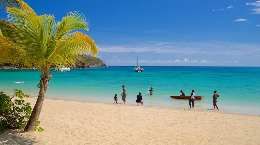 Carlisle Beach showing tropical scenes, a beach and boating