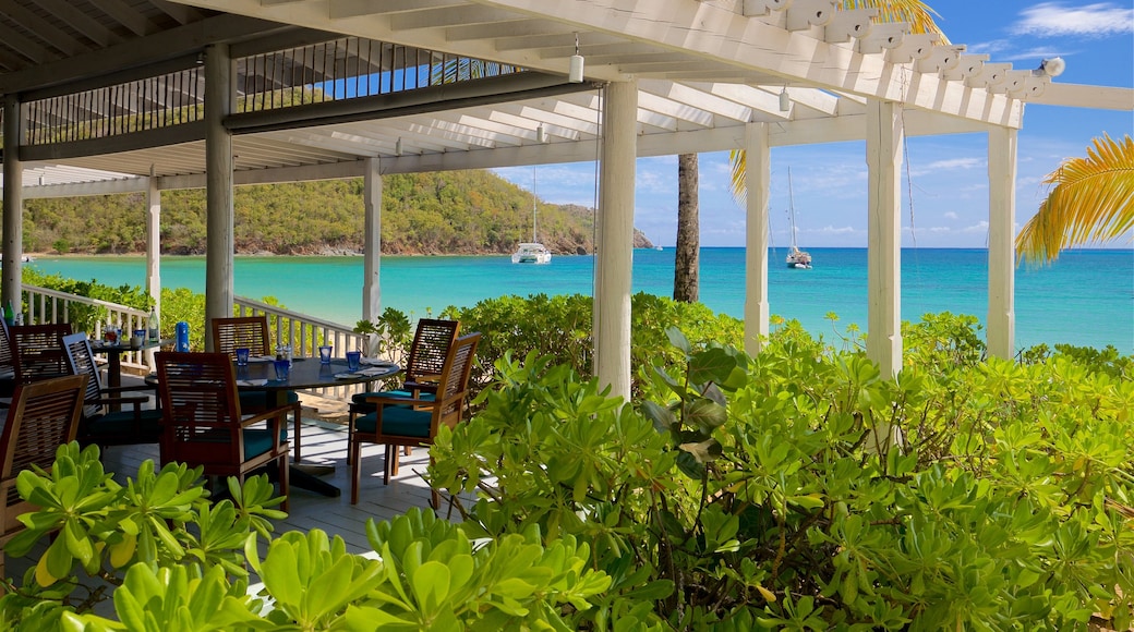 Carlisle Beach featuring general coastal views, tropical scenes and a beach