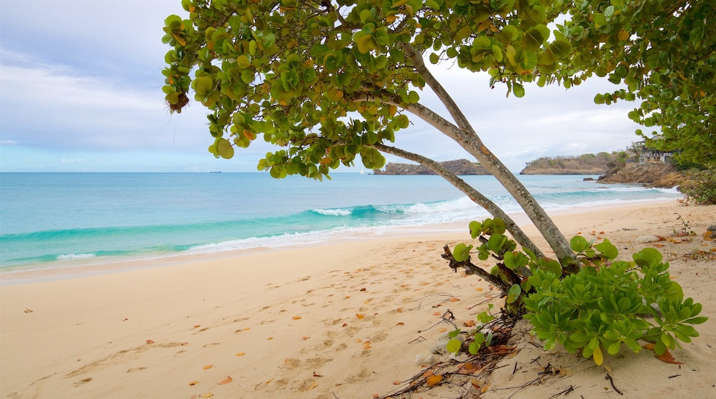 Galley Bay which includes a beach, tropical scenes and general coastal views