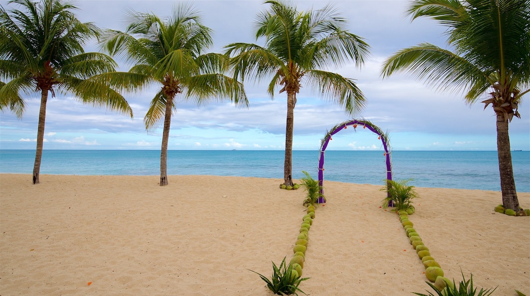 Galley Bay mit einem Strand, allgemeine Küstenansicht und tropische Szenerien