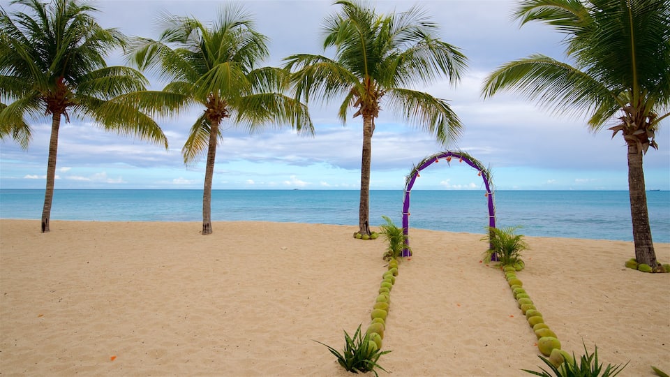 Galley Bay featuring tropical scenes, general coastal views and a beach