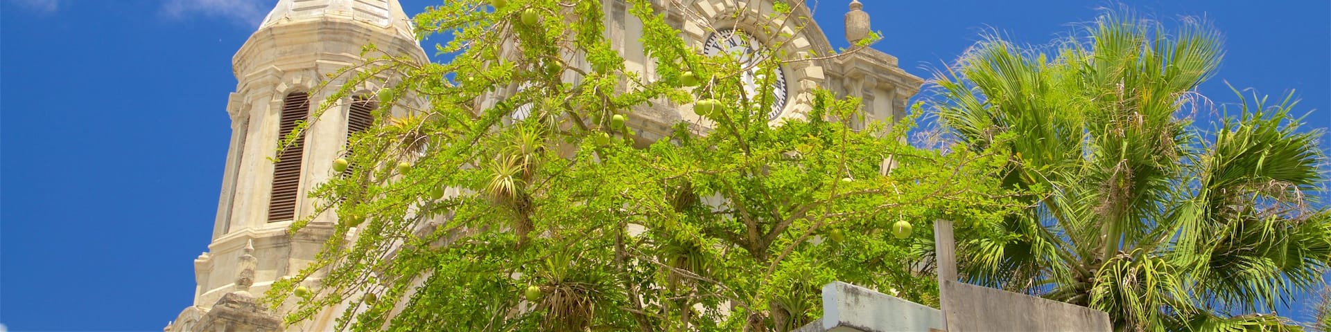 St. John\'s Cathedral featuring heritage elements