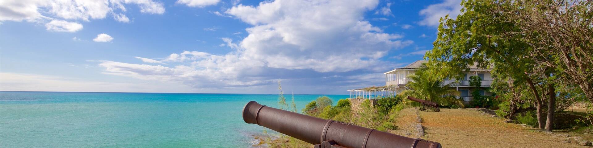 Fort James showing heritage elements, military items and general coastal views