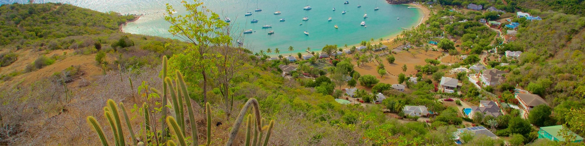 Shirley Heights showing a bay or harbor, a coastal town and island images