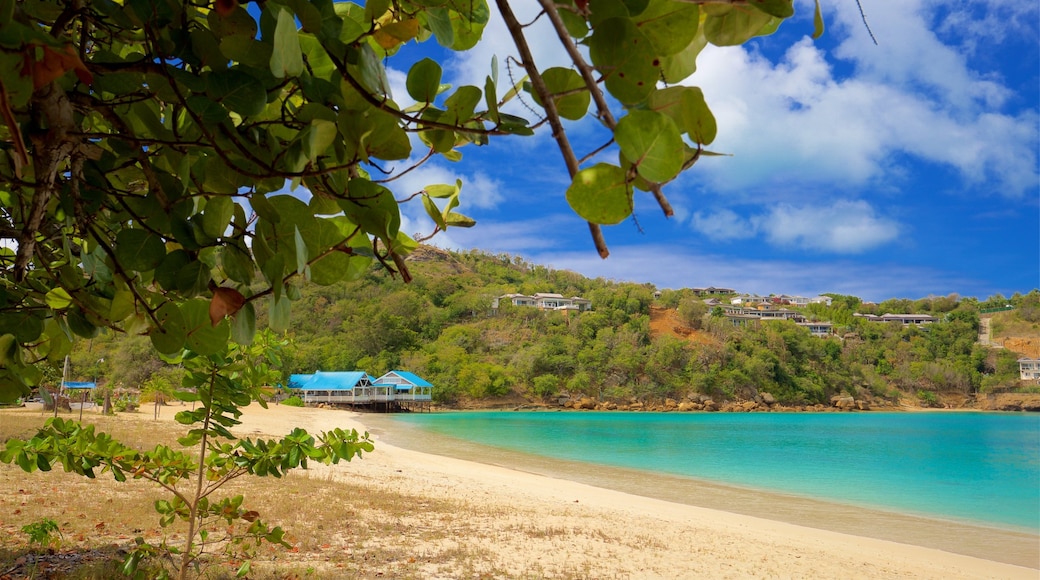 Deep Bay which includes general coastal views and a beach