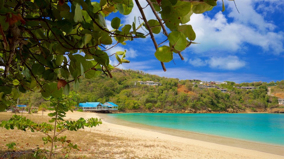 Deep Bay which includes general coastal views and a sandy beach
