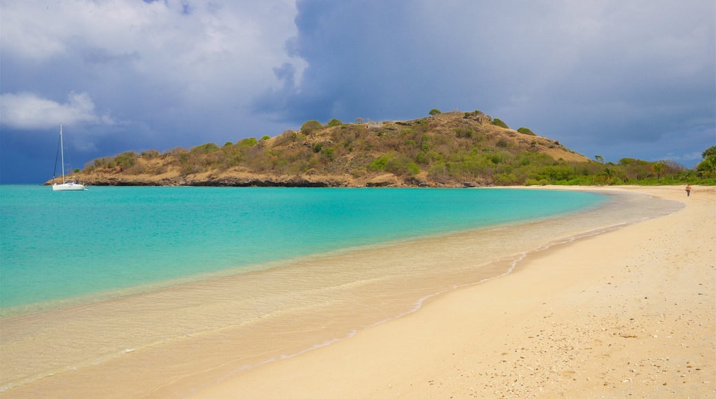 Deep Bay which includes general coastal views and a beach