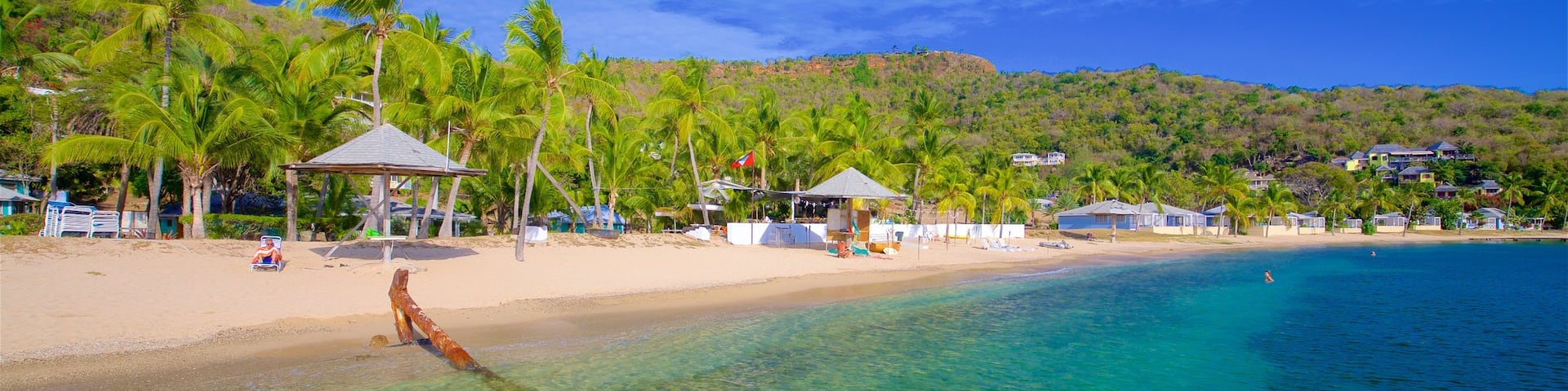 Galleon Beach featuring general coastal views, tropical scenes and a sandy beach