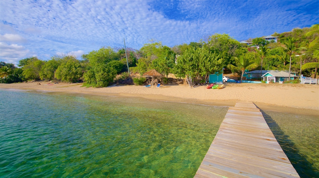 Galleon Beach ofreciendo escenas tropicales, una playa y vistas generales de la costa