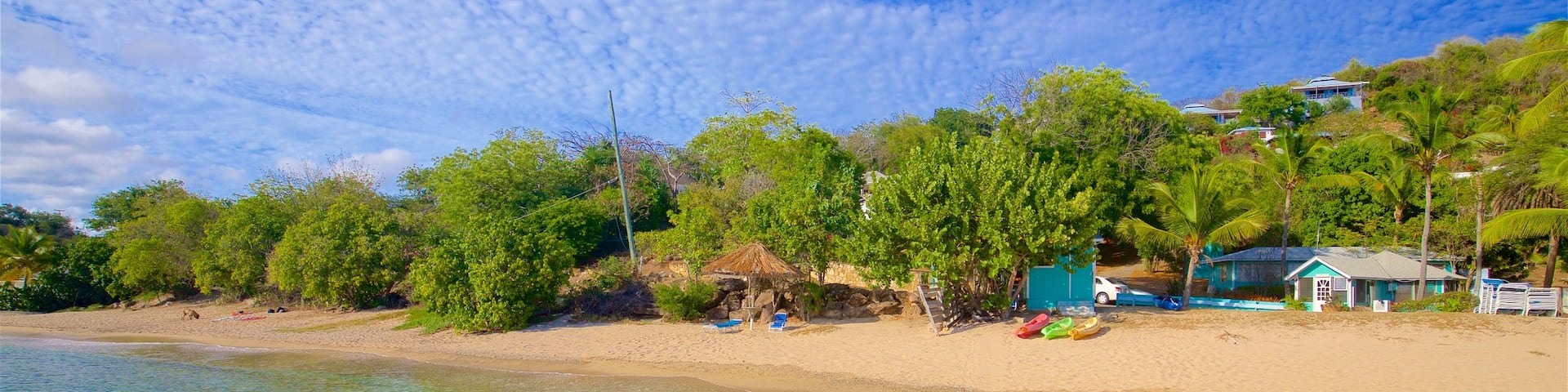 Galleon Beach showing a sandy beach, general coastal views and tropical scenes