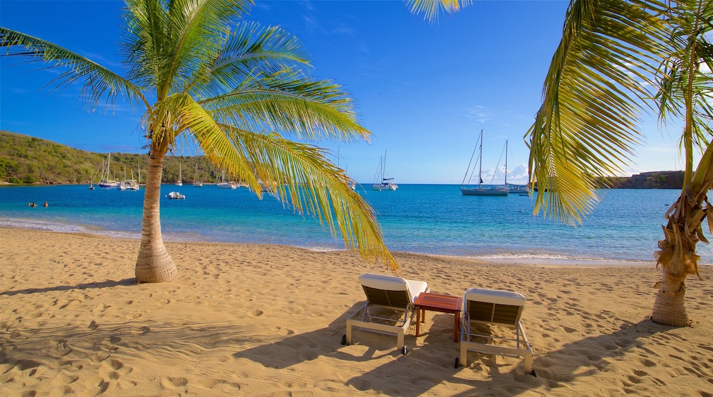 Galleon Beach showing a bay or harbor, a beach and tropical scenes