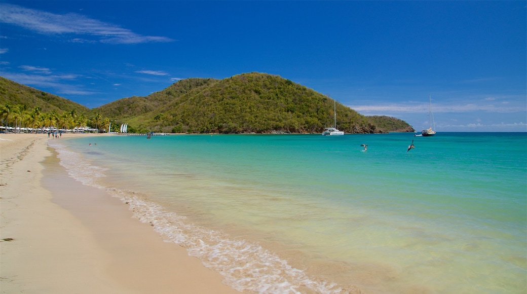 Carlisle Beach which includes a beach and general coastal views