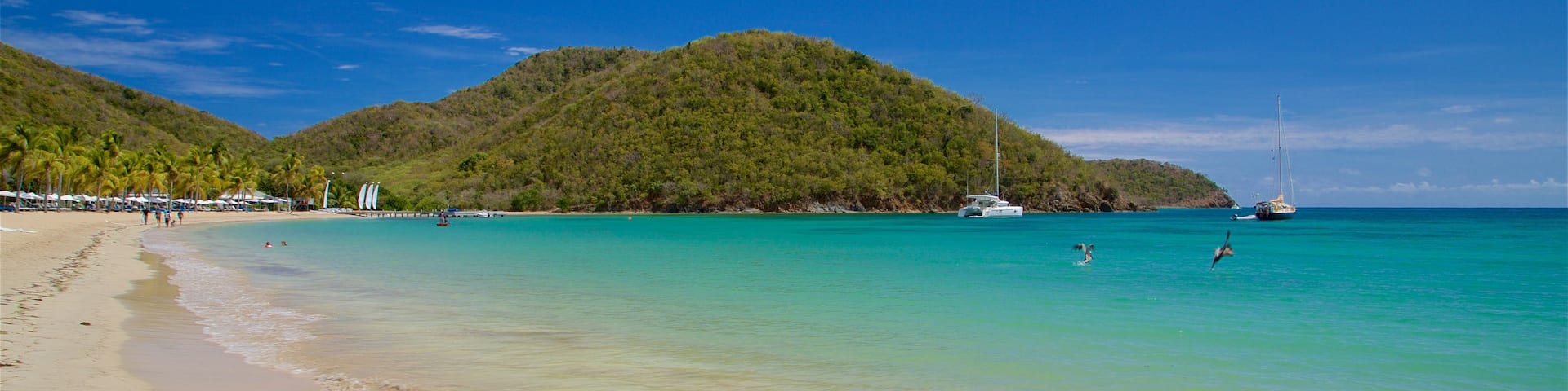 Carlisle Beach which includes a beach and general coastal views